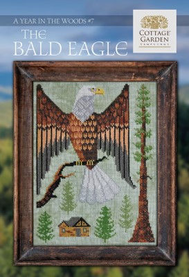 Year In The Woods 7- The Bald Eagle